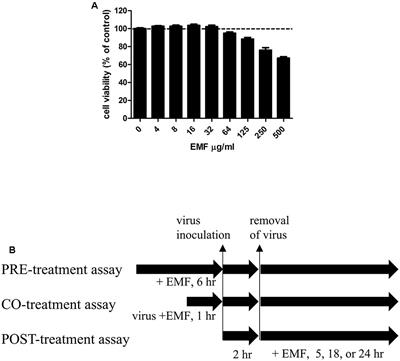 Ethanolic Extract of Melia Fructus Has Anti-influenza A Virus Activity by Affecting Viral Entry and Viral RNA Polymerase